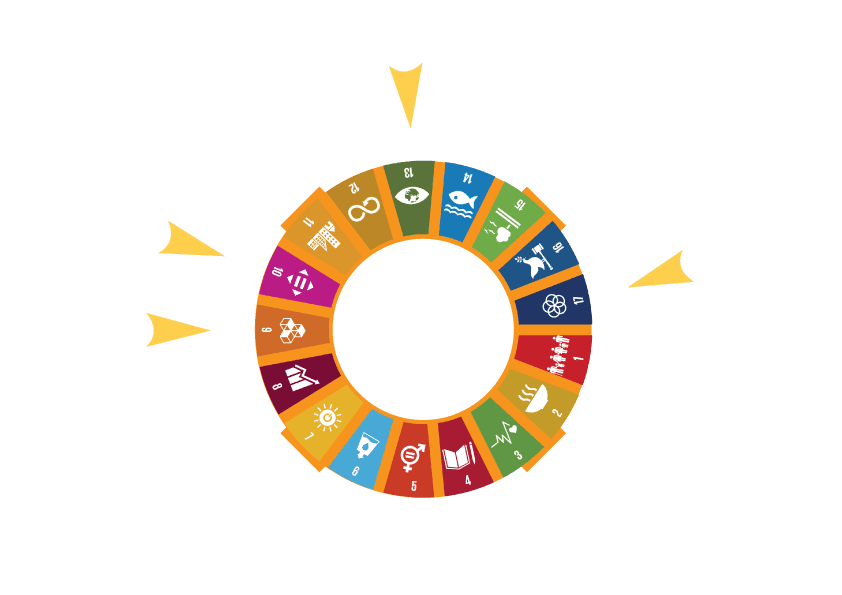 UN Sustainable Development Goals